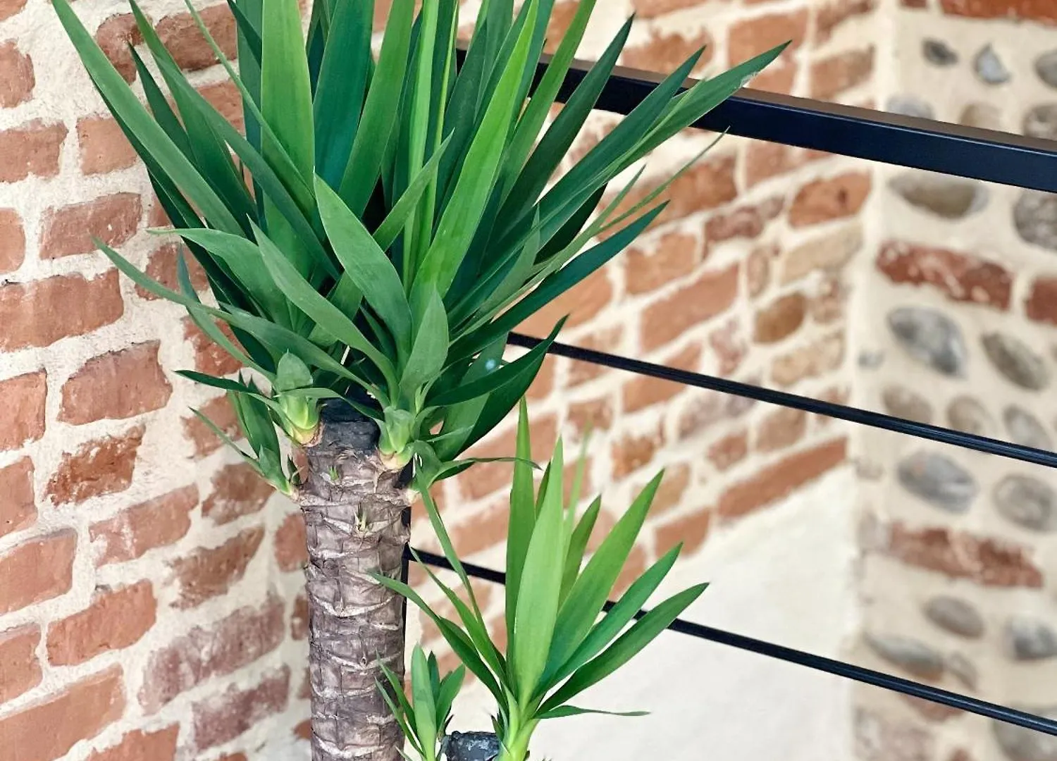 Le Candelier - Centre - Luxe - Terrasse - Clim Toulouse 0*,